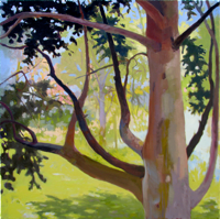 Tree Watching VII   20x20   Oil on Canvas   2011