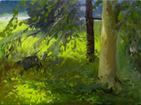 Pine Study I   9x12   Oil on Canvas   2009