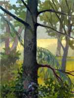 Tree Watching III   12x9   Oil on Canvas   2009