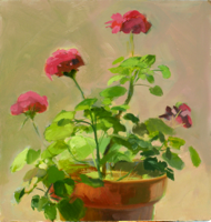 Geranium Pink   15.5x15   Oil on Canvas   2010