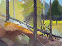 Heliker Woods I   10x14   Oil on Panel   2011