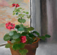 Geraniums Day   15x15.5   Oil on Canvas   2010