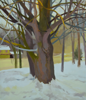 Studio.Maple II, Overcast, Snow   25x22   Oil on Panel   2019
